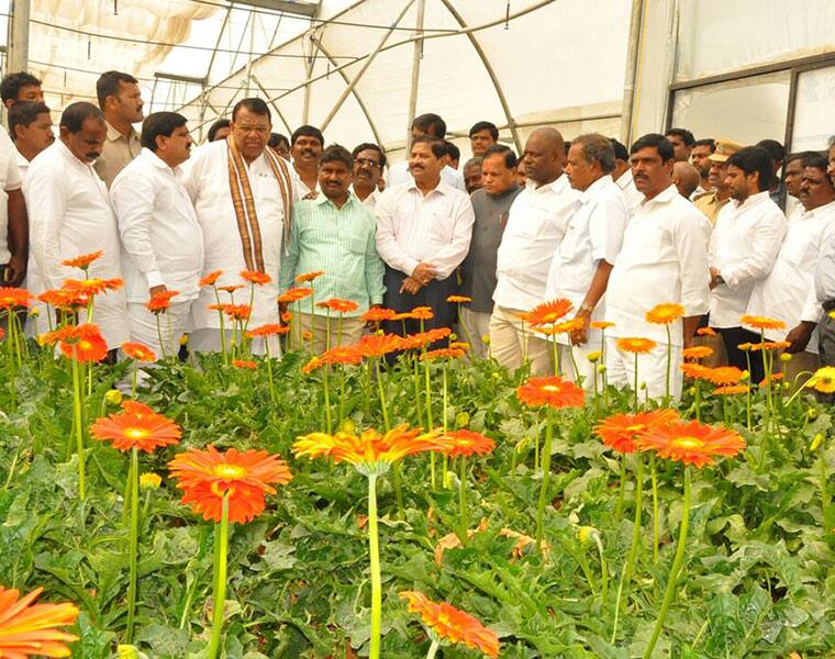 See how the state of Telangana blossoming here