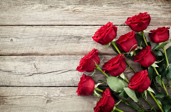 Roses to become pricier by 20-25% as demand rises ahead of Valentine's Day