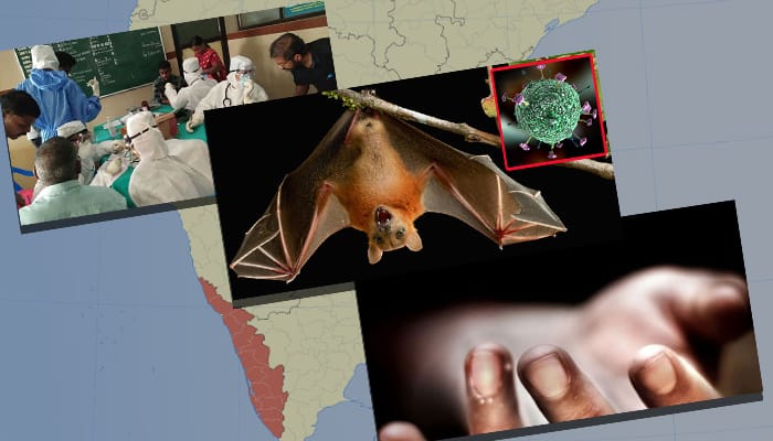How is the Nipah virus spread? Tamil Nadu Health Department Instruction