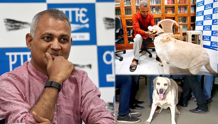 The dog that got Somnath Bharti arrested passes away