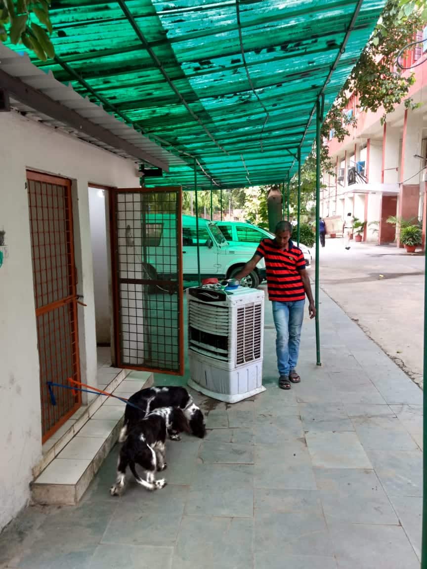 Office of IPS in Delhi becomes home for his dogs