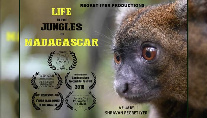 Bengaluru Boys Life In The Jungles Of Madagascar Wins Multiple Awards In India And Abroad