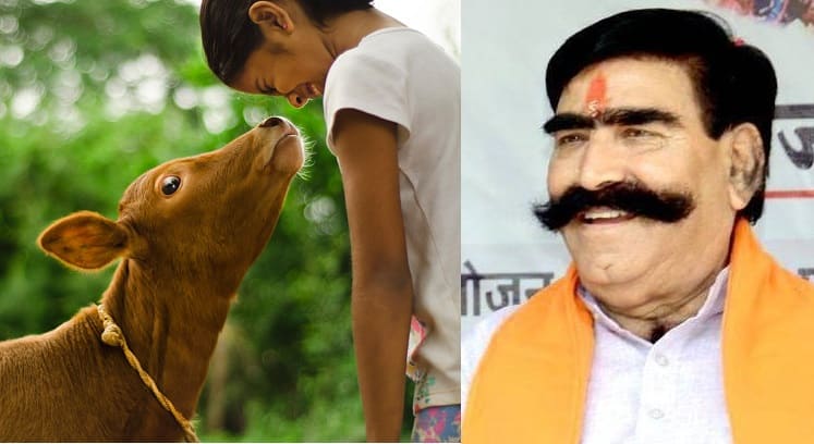 Cow killers worse than terrorists: Rajasthan BJP MLA Gyan Dev Ahuja