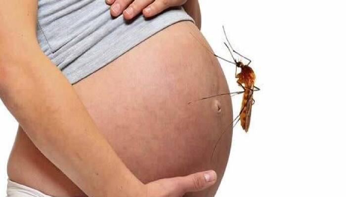 the reasons behind mosquito bites