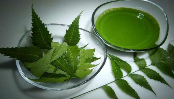 4 neem preparations for hair and skin