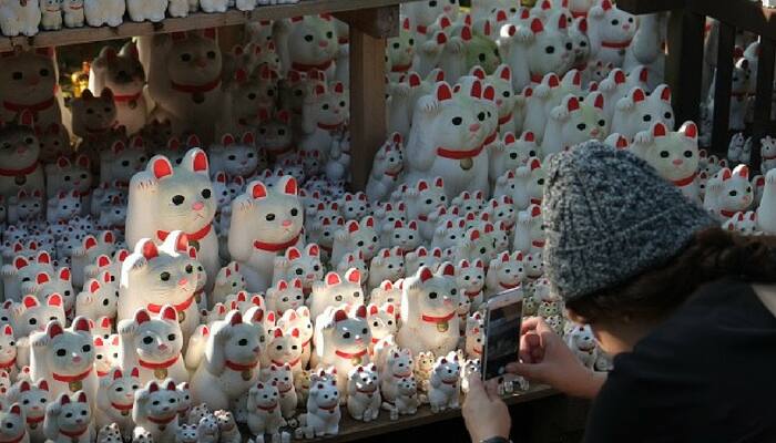 Tokyo's 'lucky cat' temple becomes most Instagrammable spot in city