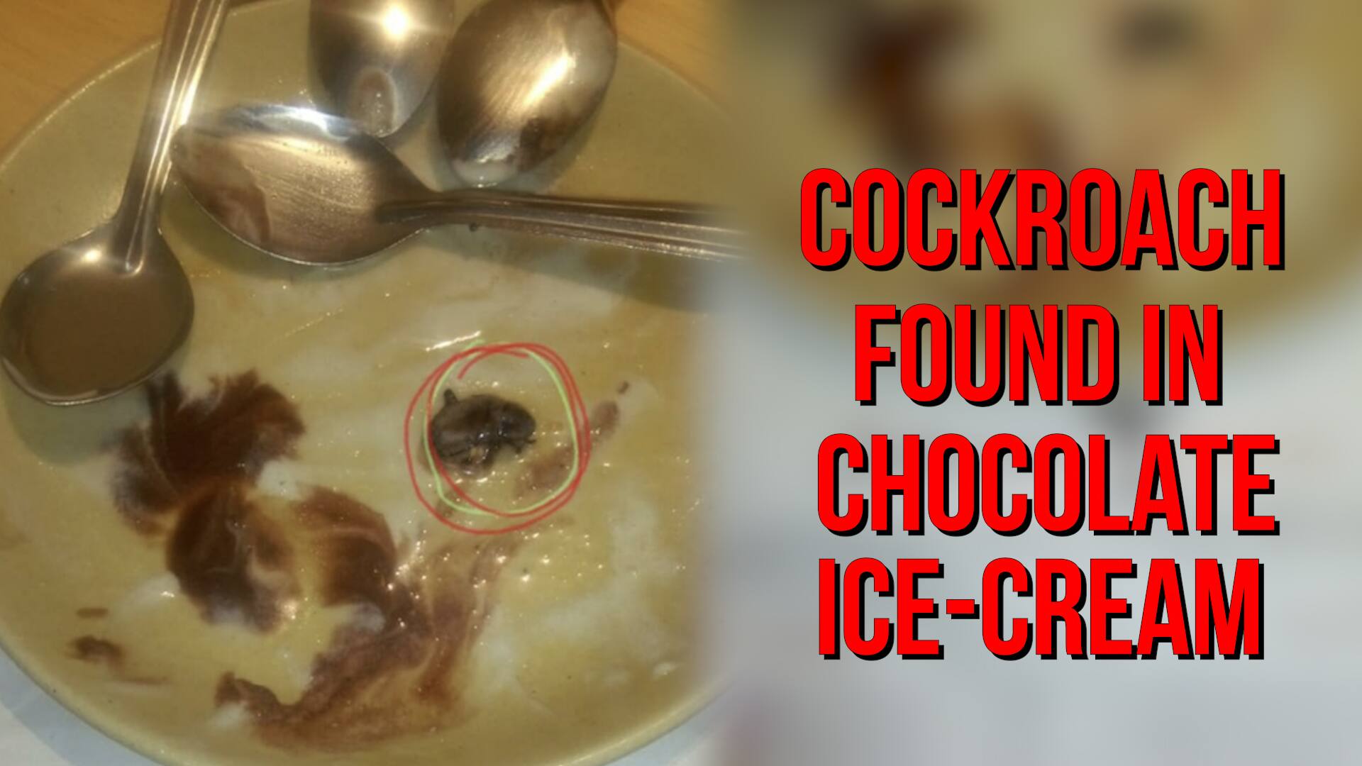 Karnataka: Cockroach served with ice cream in Bengaluru