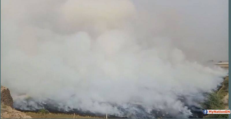 smog parali burning fatehabad haryana punjab ngt pollution