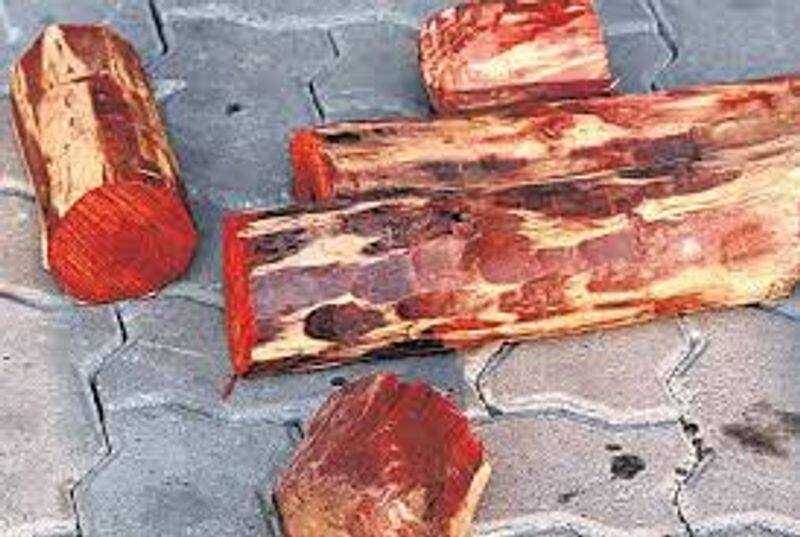 red wood amazhing uses