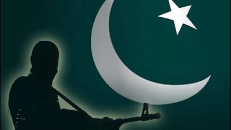 pakistan is a terror hub