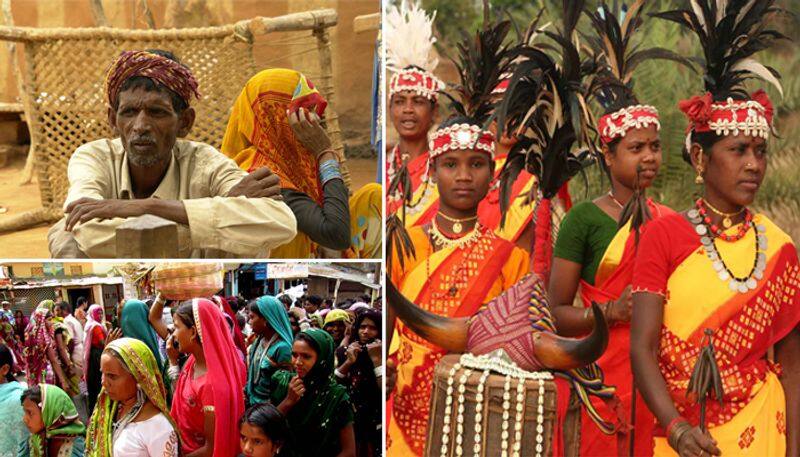 Tribal voters election outcomes Chhattisgarh, Madhya Pradesh SAPAKS JAYS GGP