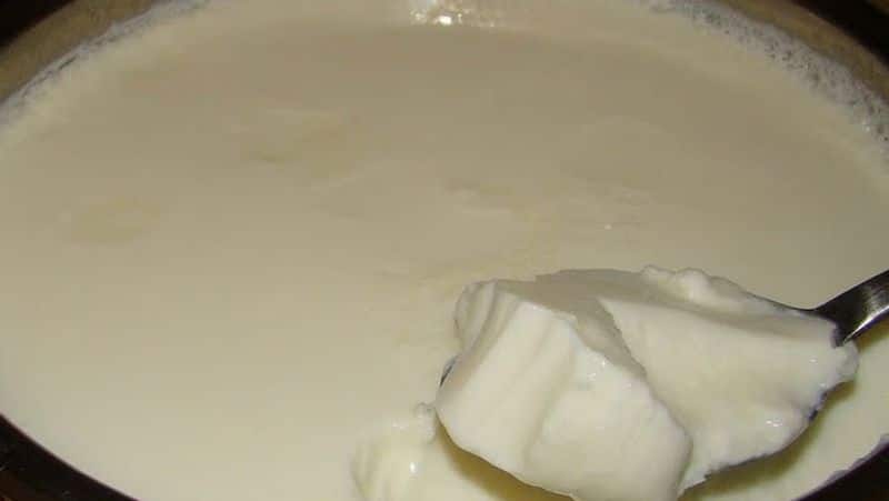 Curd to prevent baldness falling on the head