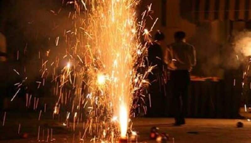 Rajasthan govt bans sale of fireworks this Diwali