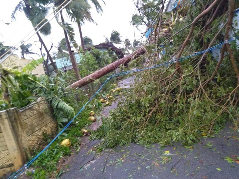tamilnadu saved people from kaja cyclone  and did  good job