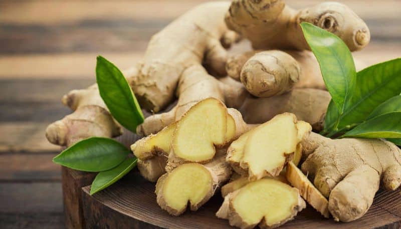 Herbs For A Healthy Digestive System