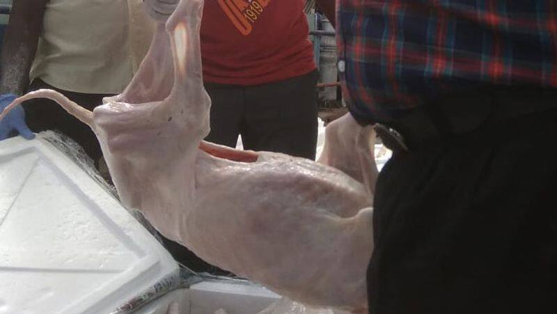 dog meat found in chennai elumboor railway station