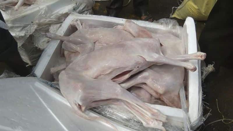 photo collections of dog meat which police caught