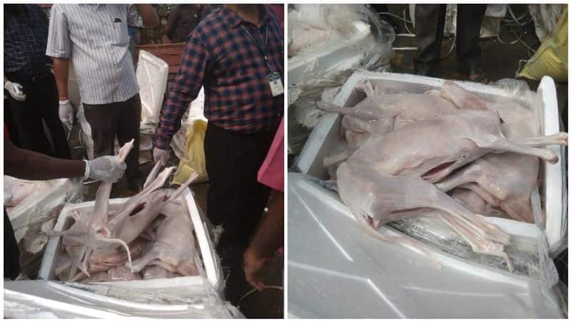 photo collections of dog meat which police caught