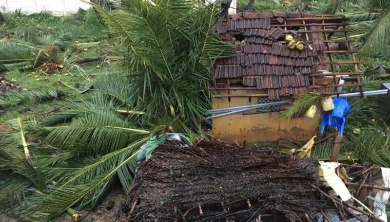 Cyclone Gaja 45 lives  massive property destruction Tamil Nadu heavy rain storm
