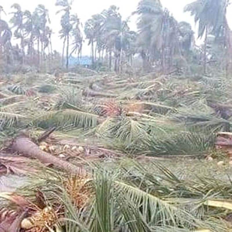 tamilnadu govt announced incentives for staffs due to kaja cyclone