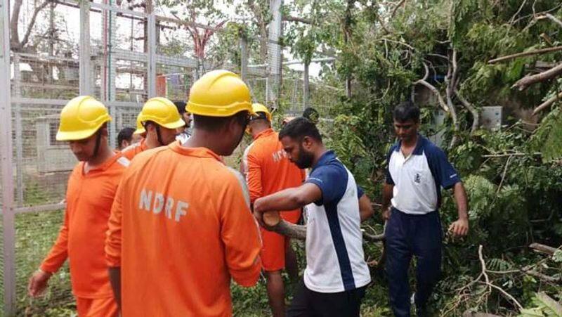 Gaja cyclone...EB Workers electric pole Food eating