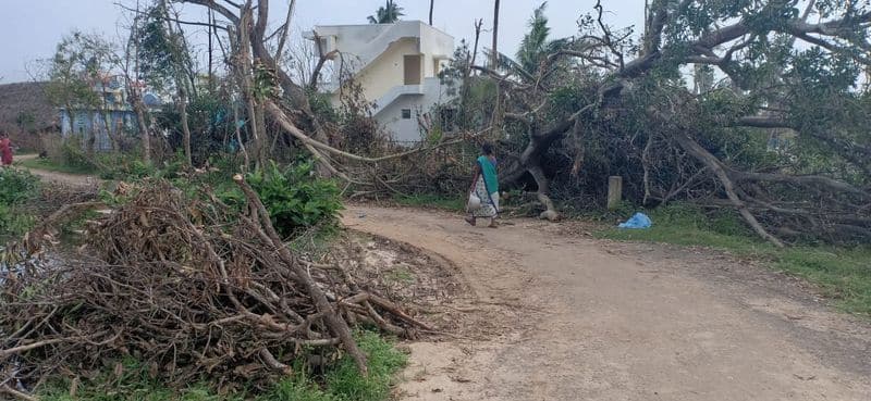 kaja cyclone criticise