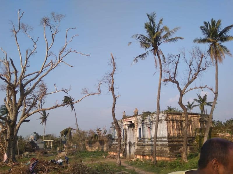 fani cyclone rs 309 crore alloted for tamilnadu