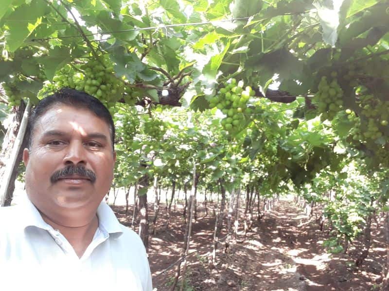 narendra modi soil testing nashik wine capital