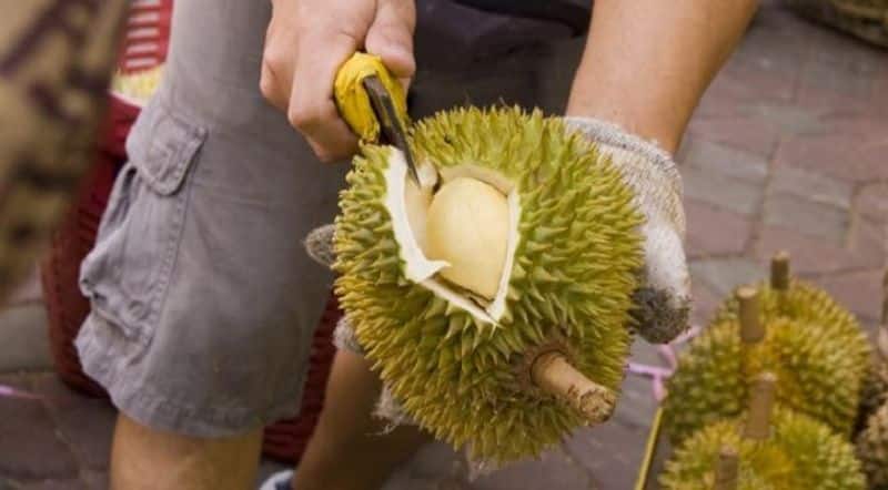 durian worlds smelliest fruit