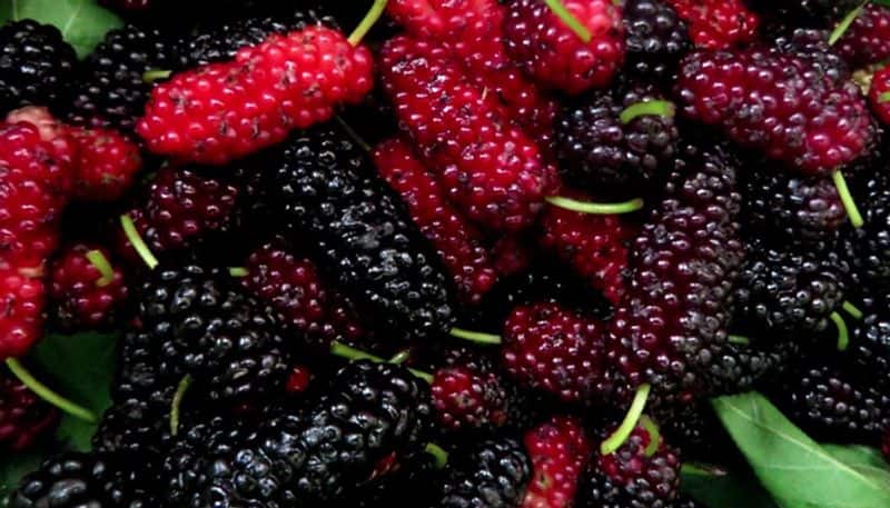 Healthy benefits of mulberry