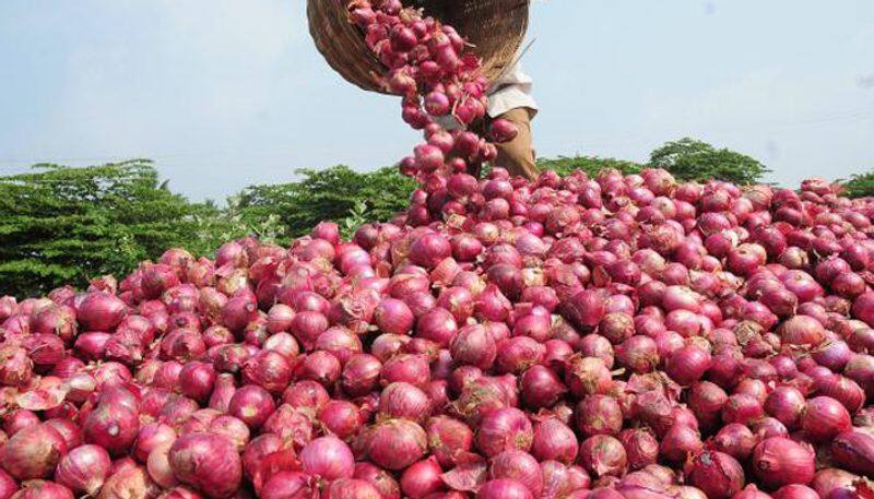 onion price is always an important factor in indian politics