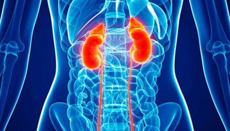 important things to prevent kidney disease