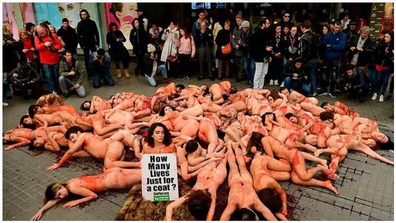 nude agitation against animal killings