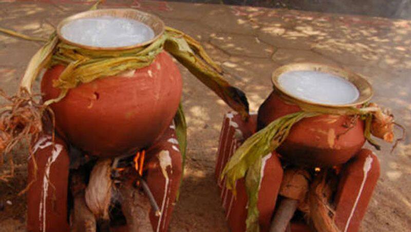 In what direction is Pongal a benefit?