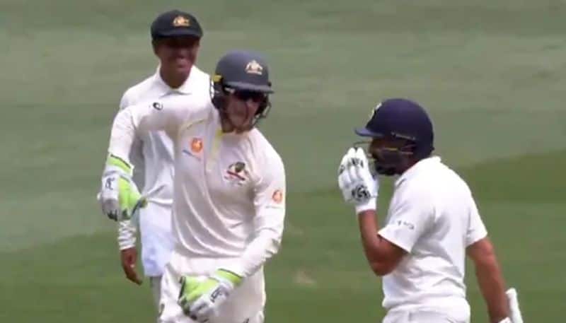 India vs Australia 3rd Test When Tim Paine tried to break Rohit Sharma's focus with amusing quips from behind stumps