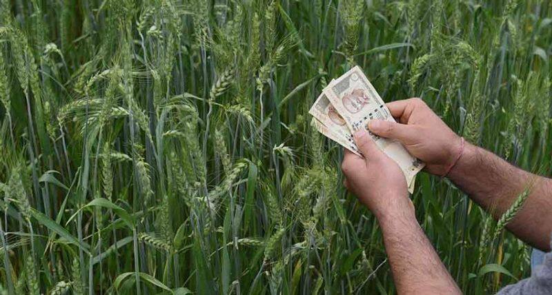 crop loan interest  modi govt