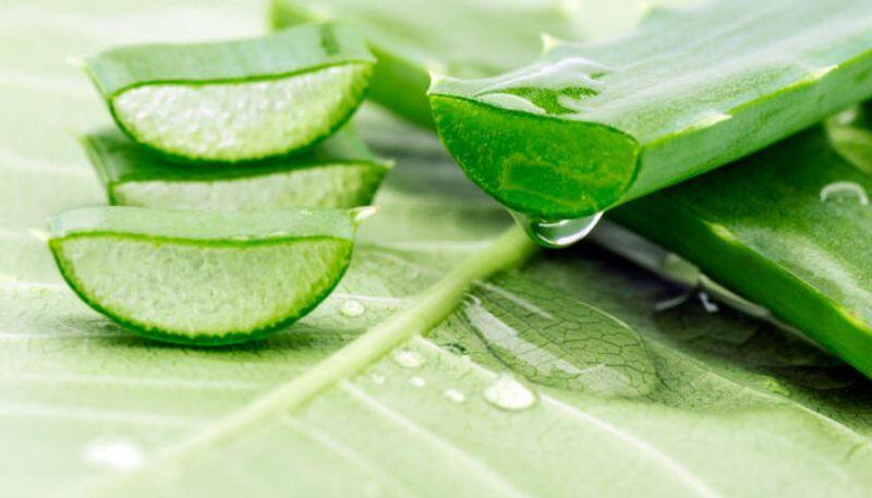 health benefits of aloe vera juice and how to prepare this