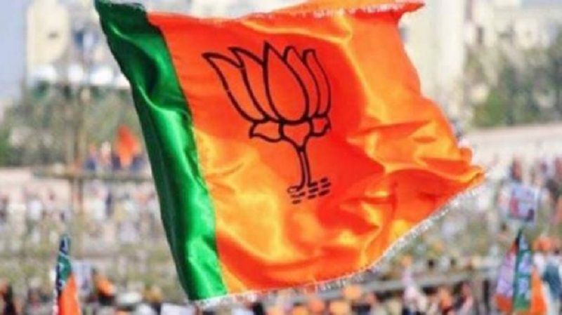 BJP constitute election organizing committee for general election-2019