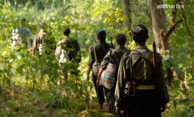 Five Maoists Killed In Encounter With Paramilitary Commandos In Jharkhand
