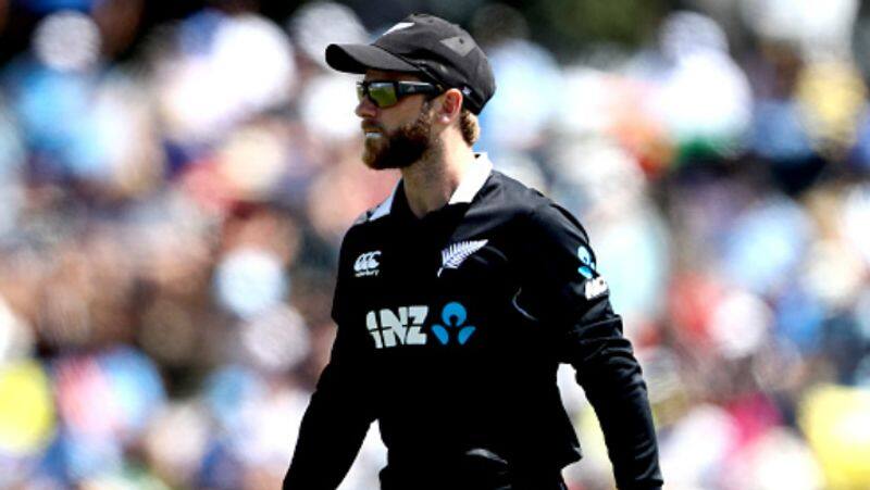 do you know the favourite cricketers for new zealand skipper williamson