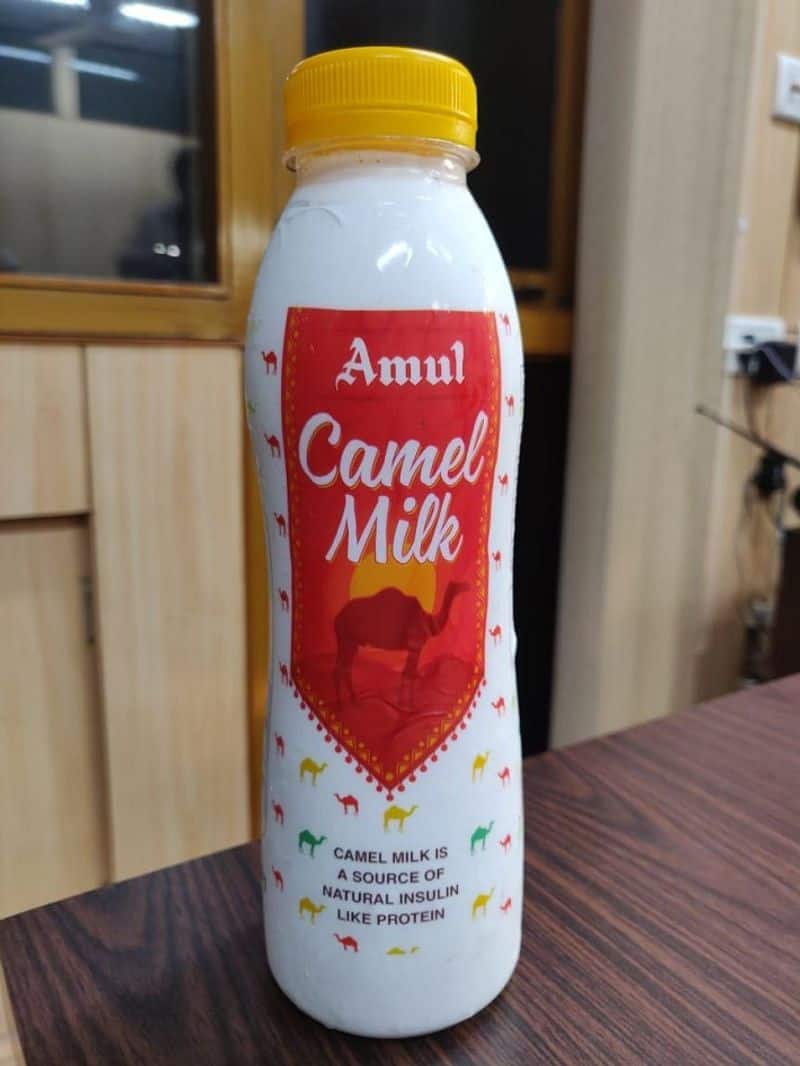amul introduced camel milk