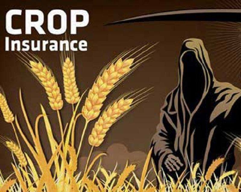 loan interst weive and free crop insurence