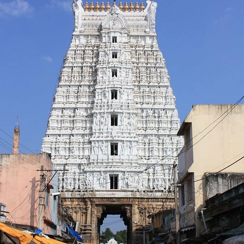 Three golden crowns missing from Govindaraja Swamy temple in Tirupati Andhra Pradesh