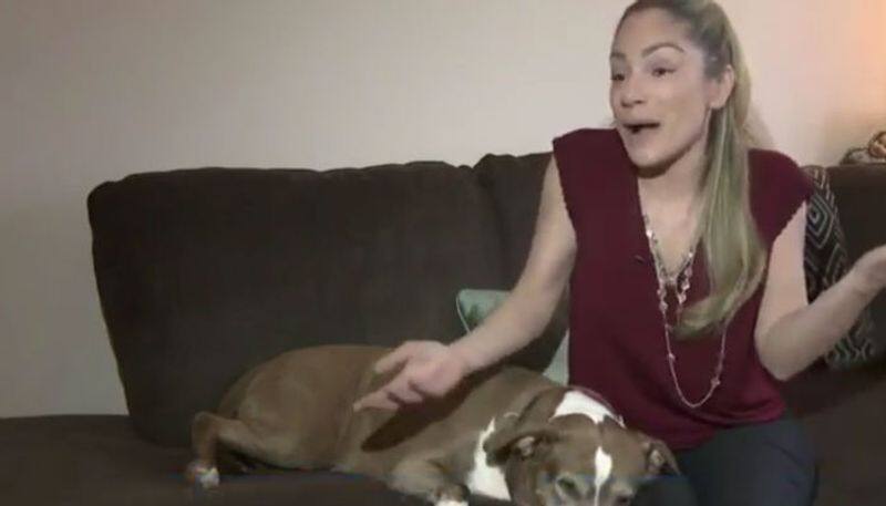 pet dog saved family from gas leaked home