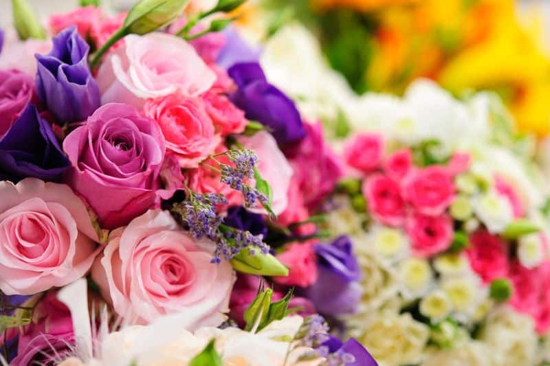 huge demand for international flower auction market in  hosur