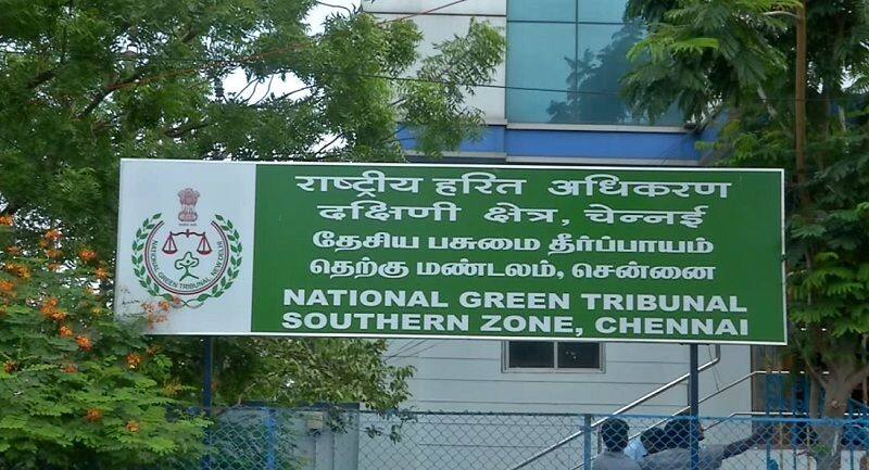 green tribuneal fixed100 crores  fine