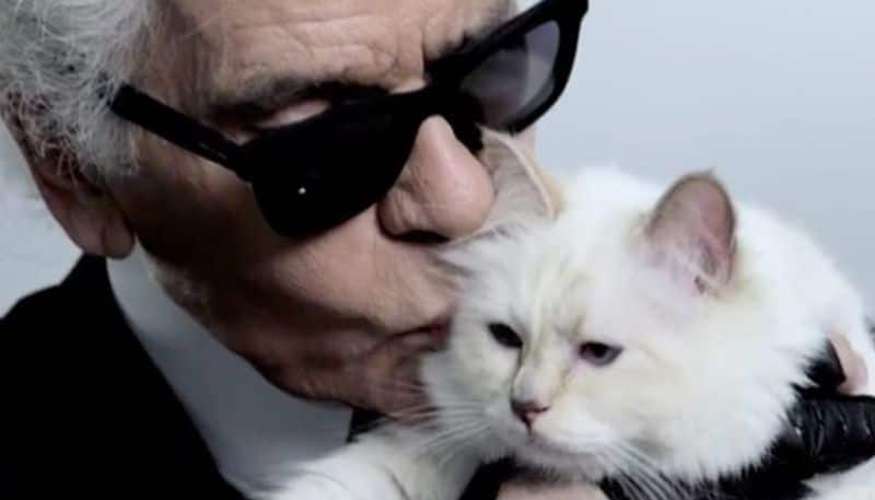 Karl Lagerfeld's Cat, Choupette, Stands to Inherit Millions