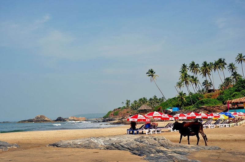 Goa Tourism introduces Raj Bhavan tours