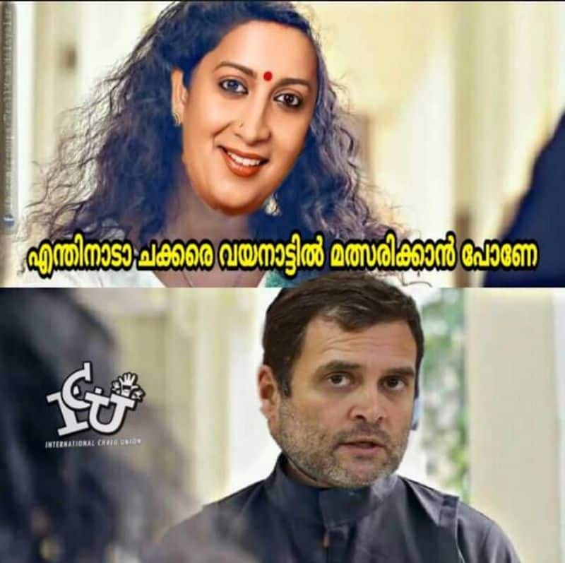 Trolls about candidature of rahul gandhi in wayanad
