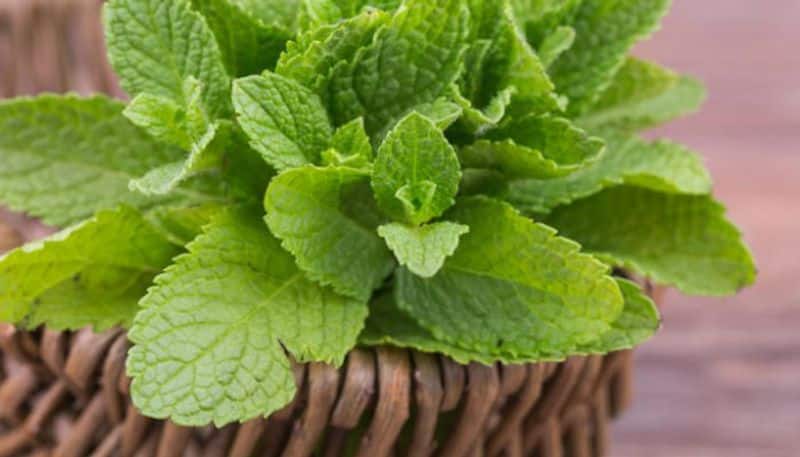 mint face mask for skin glow during hot season